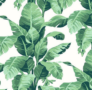 Meet your Posher, Lanie